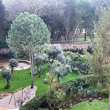 Delle Civette Rome